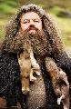 Hagrid