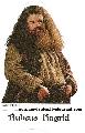 Hagrid